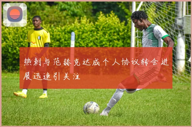 热刺与范赫克达成个人协议转会进展迅速引关注